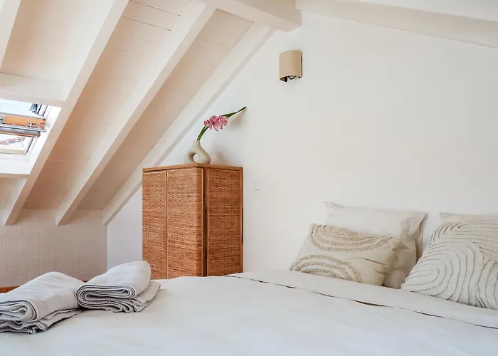 Josy Atelier 费雷尔